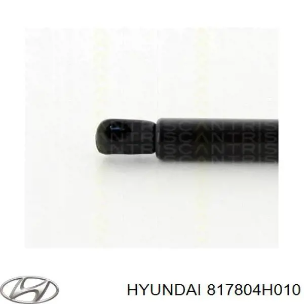 817804H010 Hyundai/Kia амортизатор кришки багажника/ двері 3/5-ї задньої