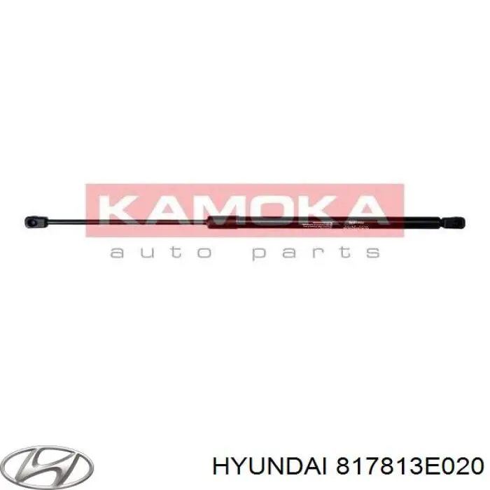 Амортизатор двері задньої Hyundai/Kia 817813E020 ціна, від 5.07 USD