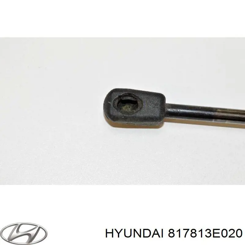 Амортизатор двері задньої Hyundai/Kia 817813E020 ціна, від 5.07 USD