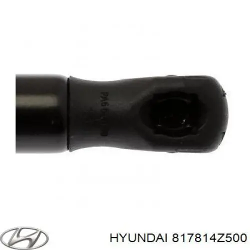  817814Z500 Hyundai/Kia