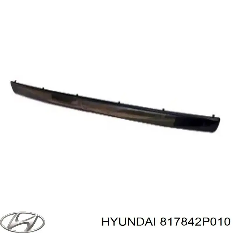817842P010 Hyundai/Kia 