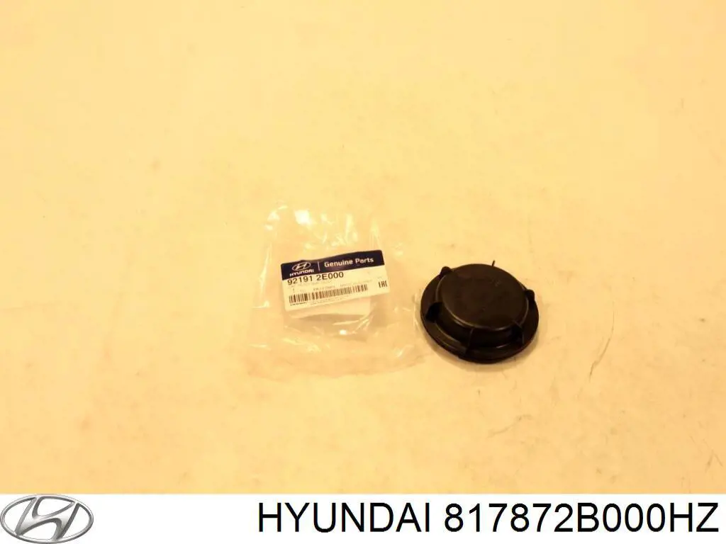  817872B000HZ Hyundai/Kia