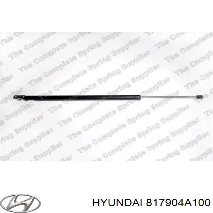 Амортизатор двері задньої Hyundai/Kia 817904A100 ціна, від 5.38 USD