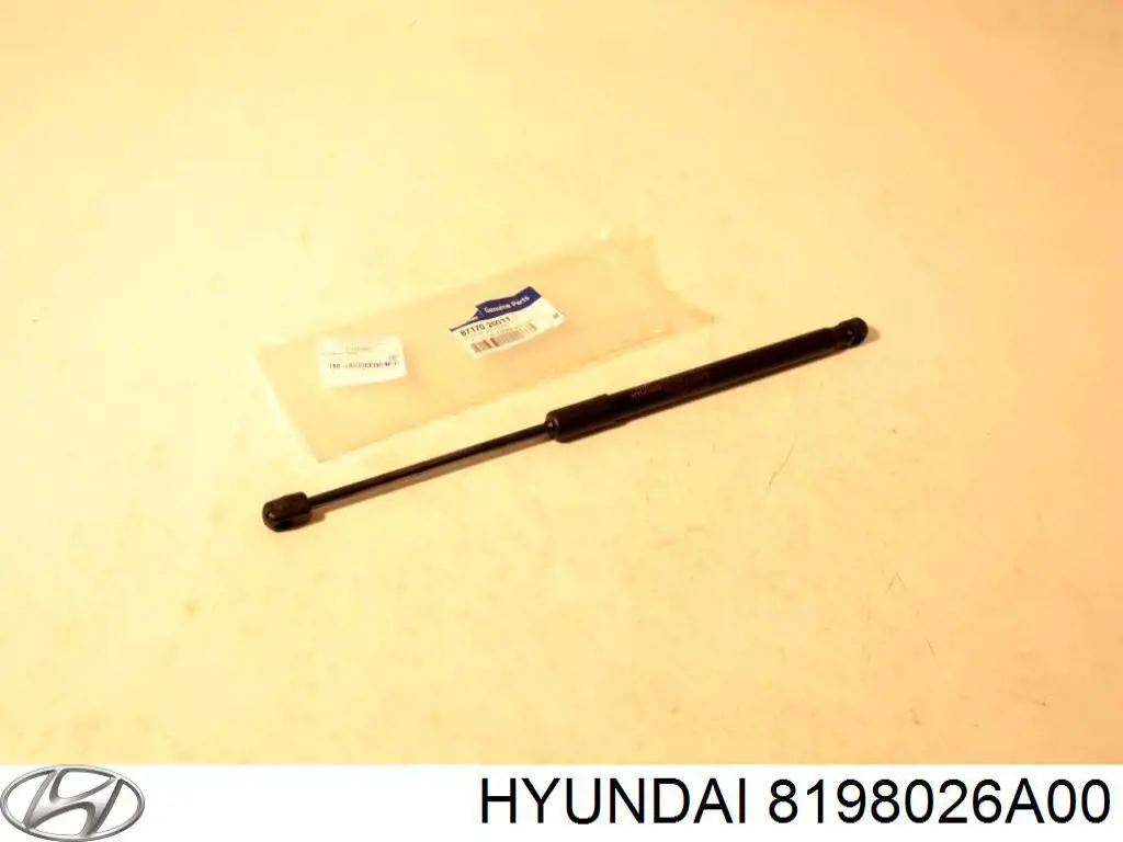 8198026A00 Hyundai/Kia личинка замка дверей передньої, правої