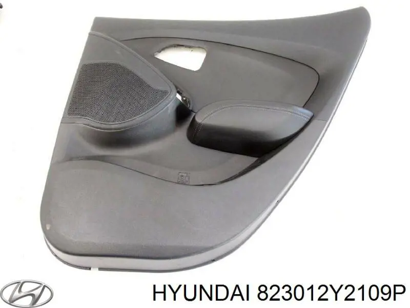  823012Y2109P Hyundai/Kia