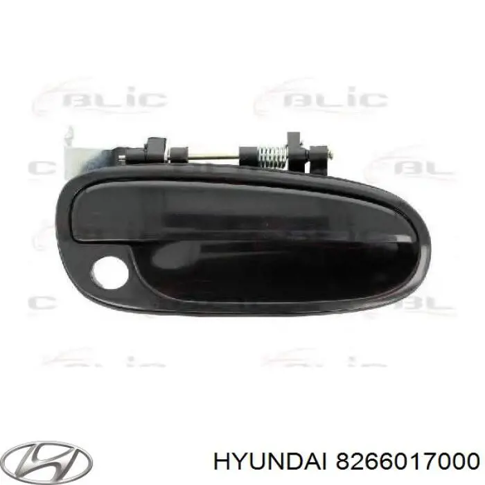 Ручка передньої двері зовнішня права FPS FP3168122 ціна, від 11.35 USD