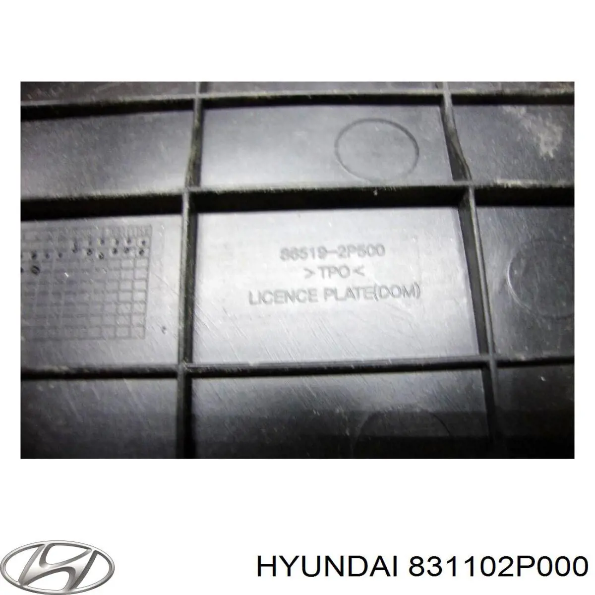 Купити 831102P000 Hyundai/Kia Ущільнювач двері задньої лівої (на кузові)