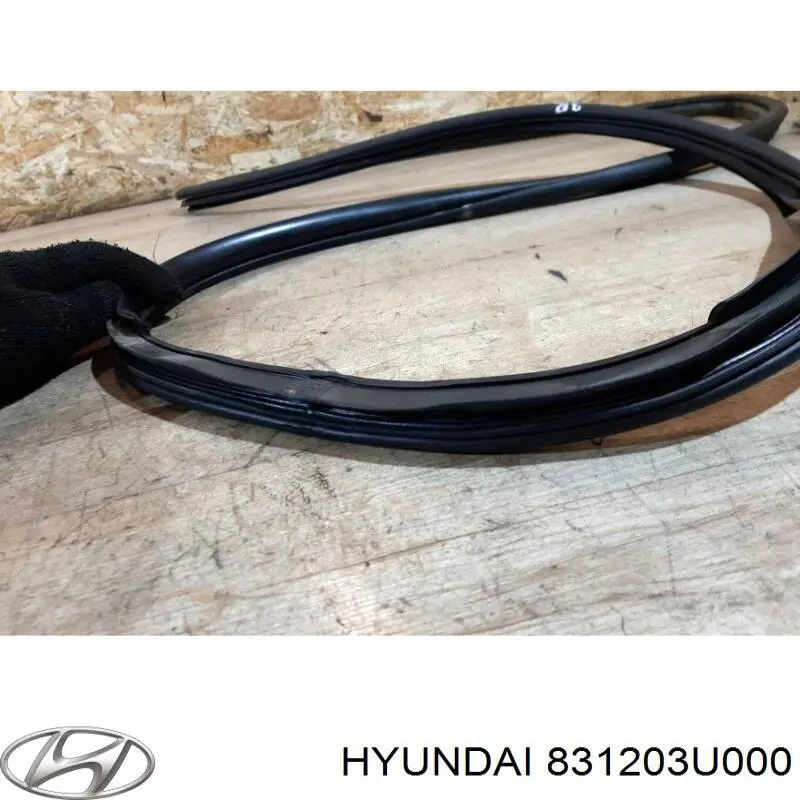 Купити 831203U000 Hyundai/Kia Ущільнювач двері задньої правої (на кузові)