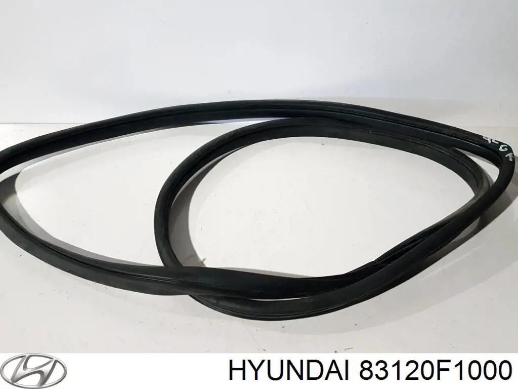 Ущільнювач дверей задніх, правих (на кузові) Hyundai/Kia 83120F1000 ціна, від 124.04 USD