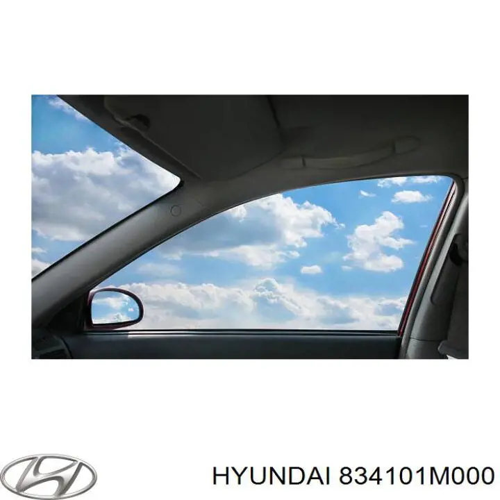 Скло задньої двері лівої 834101M000 Hyundai/Kia