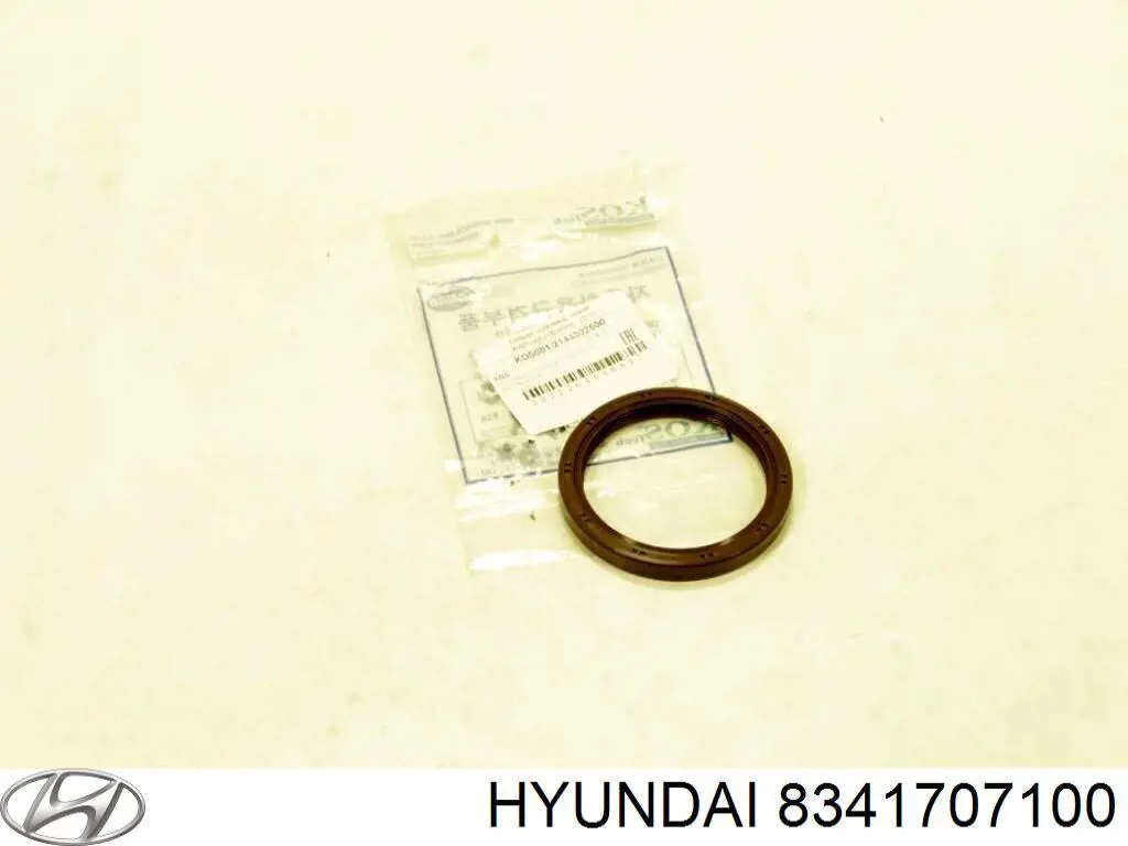 8341707100 Hyundai/Kia скло-кватирка двері, задній, лівою