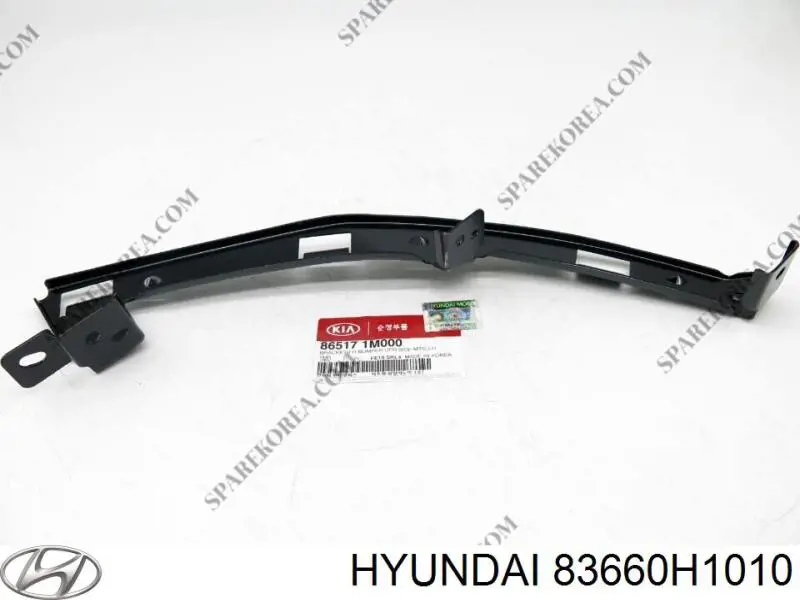 Купити 83660H1010 Hyundai/Kia Ручка задньої двері зовнішня права
