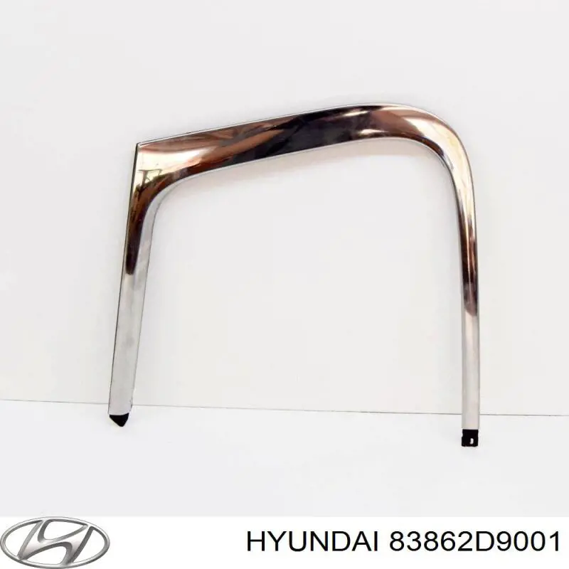 Купити 83862D9001 Hyundai/Kia 