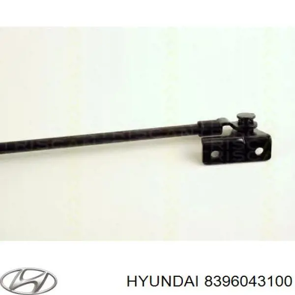 Амортизатор двері задньої Hyundai/Kia 8396043100 ціна, від 14.05 USD