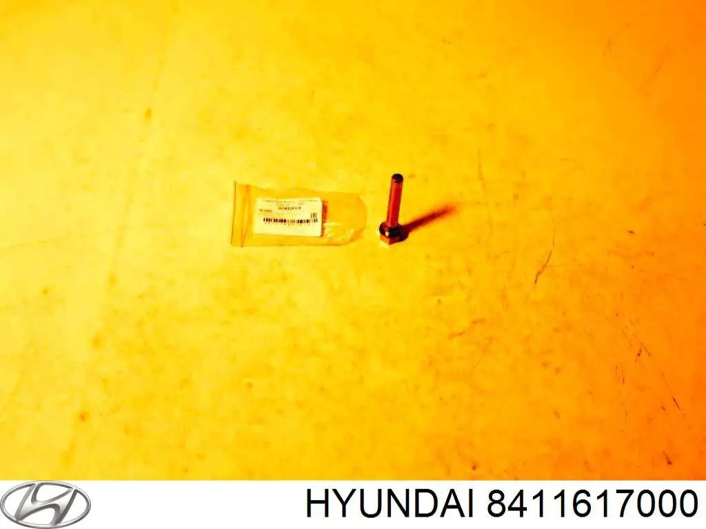  8411617000 Hyundai/Kia