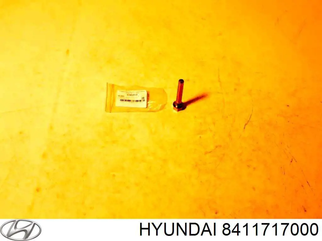  8411717000 Hyundai/Kia