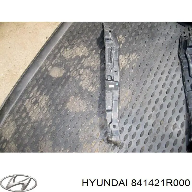 Ущільнювач крила Hyundai/Kia 841421R000 ціна, від 3.80 USD