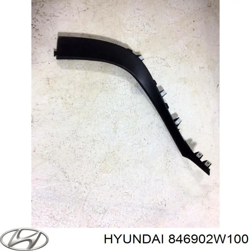 846902W100 Hyundai/Kia 