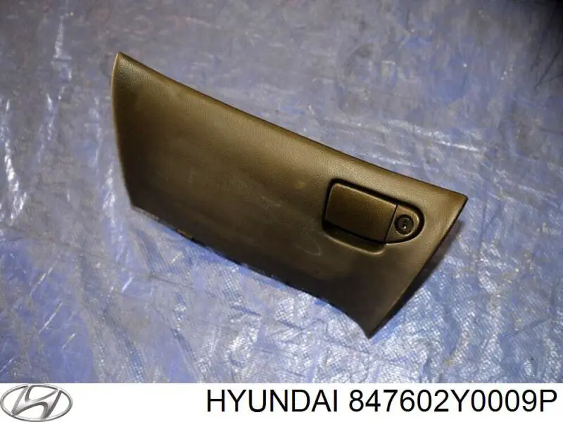 Купити 847602Y0009P Hyundai/Kia Панель салону передня "торпедо", нижня частина