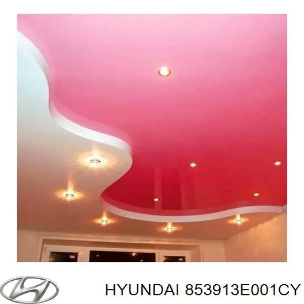853913E001CY Hyundai/Kia 
