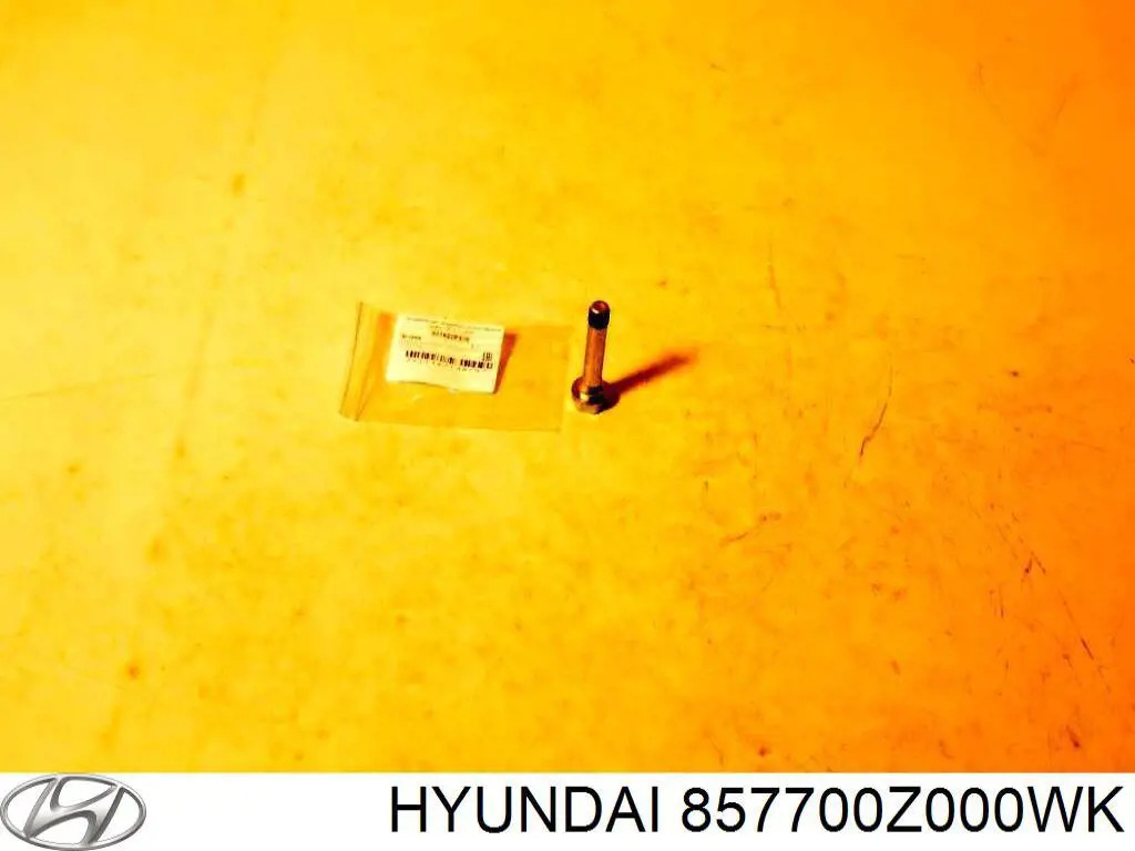 857701F000WK Hyundai/Kia Накладка перегородки