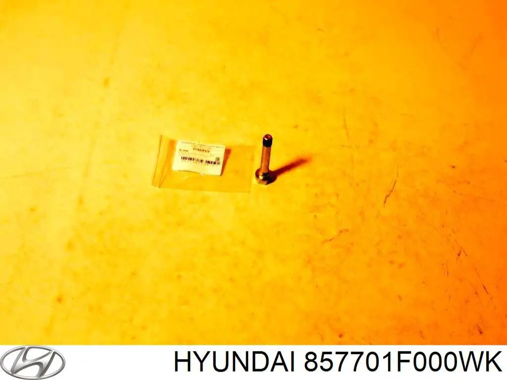 Накладка задньої панелі багажника Hyundai/Kia 857701F000WK ціна, від 15.20 USD