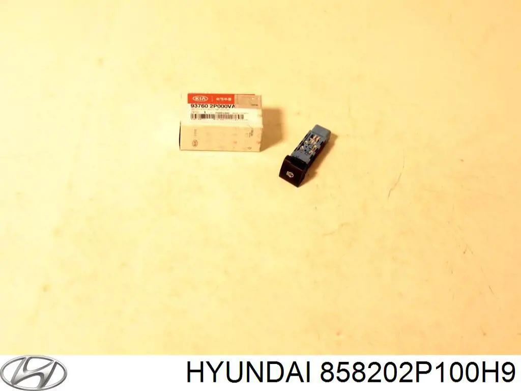  858202P100H9 Hyundai/Kia