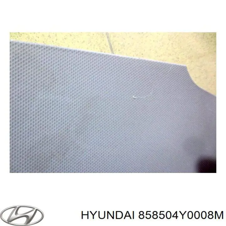 858504Y0008M Hyundai/Kia 