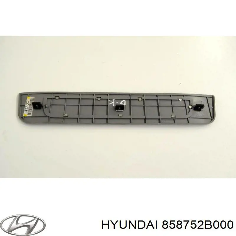 858752B000 Hyundai/Kia 
