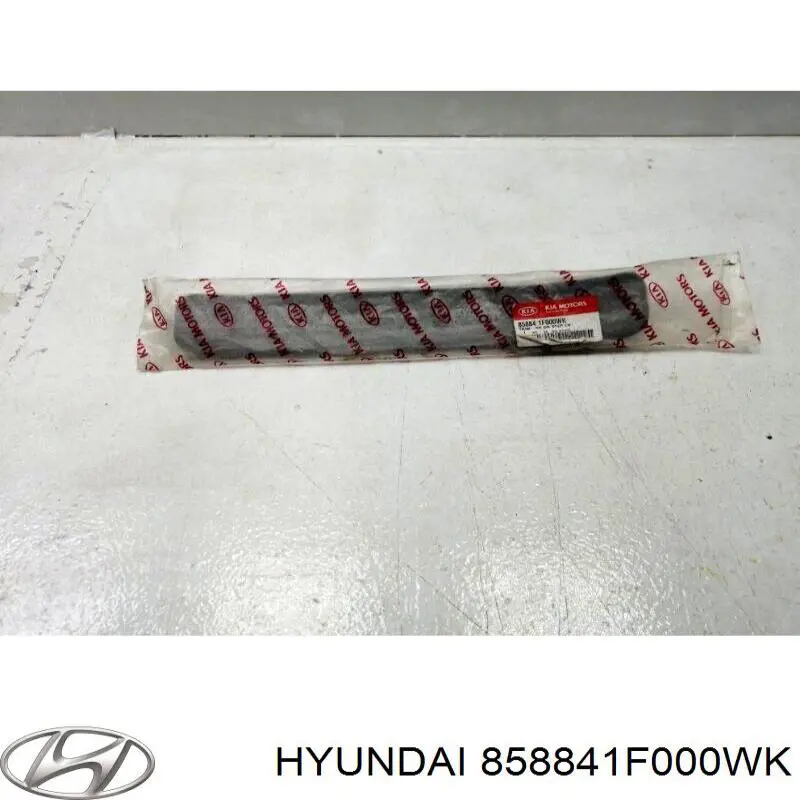 858841F000WK Hyundai/Kia 