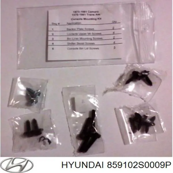  859102S0009P Hyundai/Kia