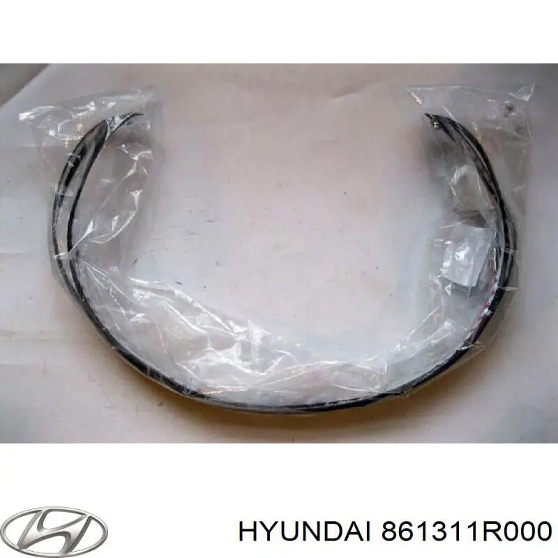 Ущільнювач лобового скла Hyundai/Kia 861311R000 ціна, від 23.63 USD
