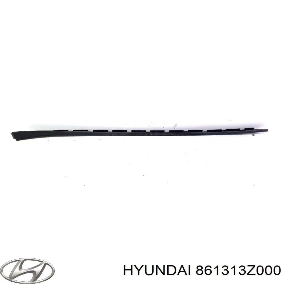 861313Z000 Hyundai/Kia 