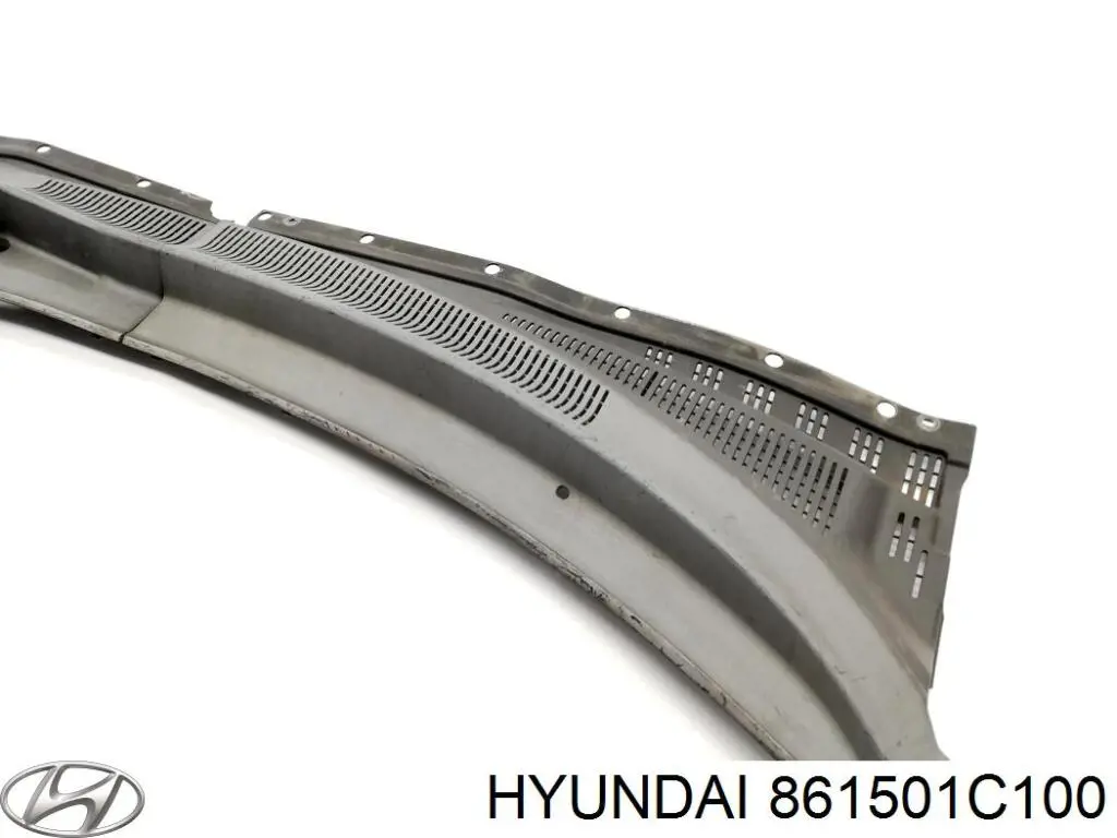 Водостік лобового скла, жабо Hyundai/Kia 861501C100 ціна, від 7.60 USD