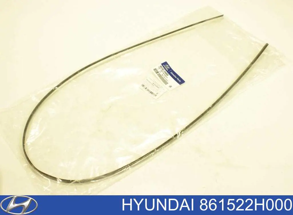 Молдинг вітрового скла, нижній Hyundai/Kia 861522H000 ціна, від 7.53 USD