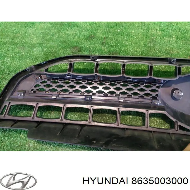 Купити 8635003000 Hyundai/Kia Захисна решітка радіатора