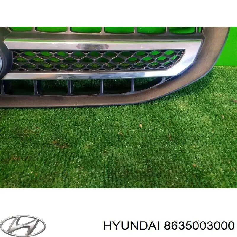 8635003000 Hyundai/Kia Решітка радіатора