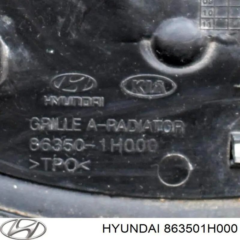 Купити 863501H000 Hyundai/Kia Захисна решітка радіатора