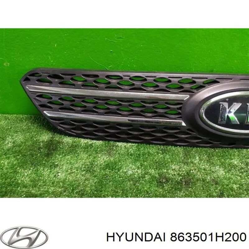 Купити 863501H200 Hyundai/Kia Захисна решітка радіатора