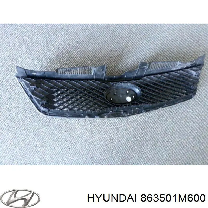 Облицювання радіатора Hyundai/Kia 863501M600 ціна, від 23.88 USD