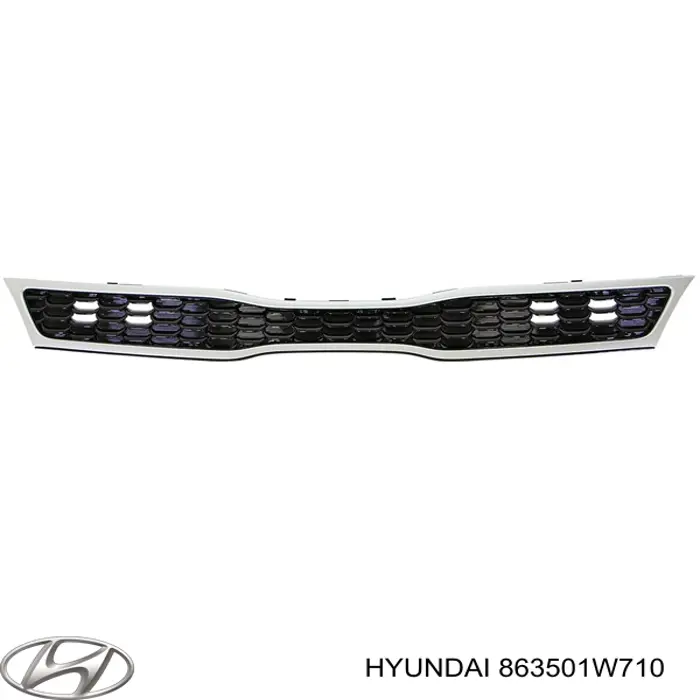 Облицювання радіатора Hyundai/Kia 863501W710 ціна, від 70.97 USD