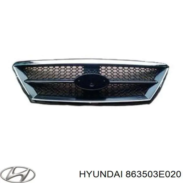 Облицювання радіатора Hyundai/Kia 863503E020 ціна, від 23.67 USD