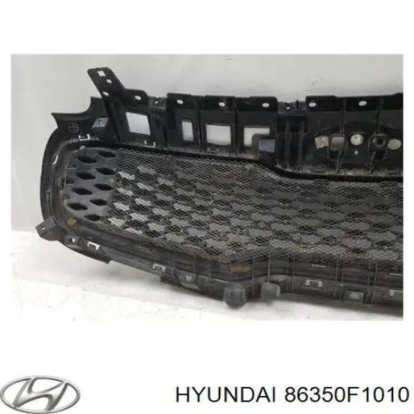 Купити 86350F1000 Hyundai/Kia Захисна решітка радіатора