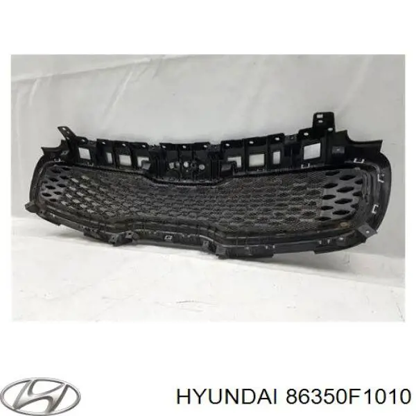 Облицювання радіатора Hyundai/Kia 86350F1000 ціна, від 114.02 USD