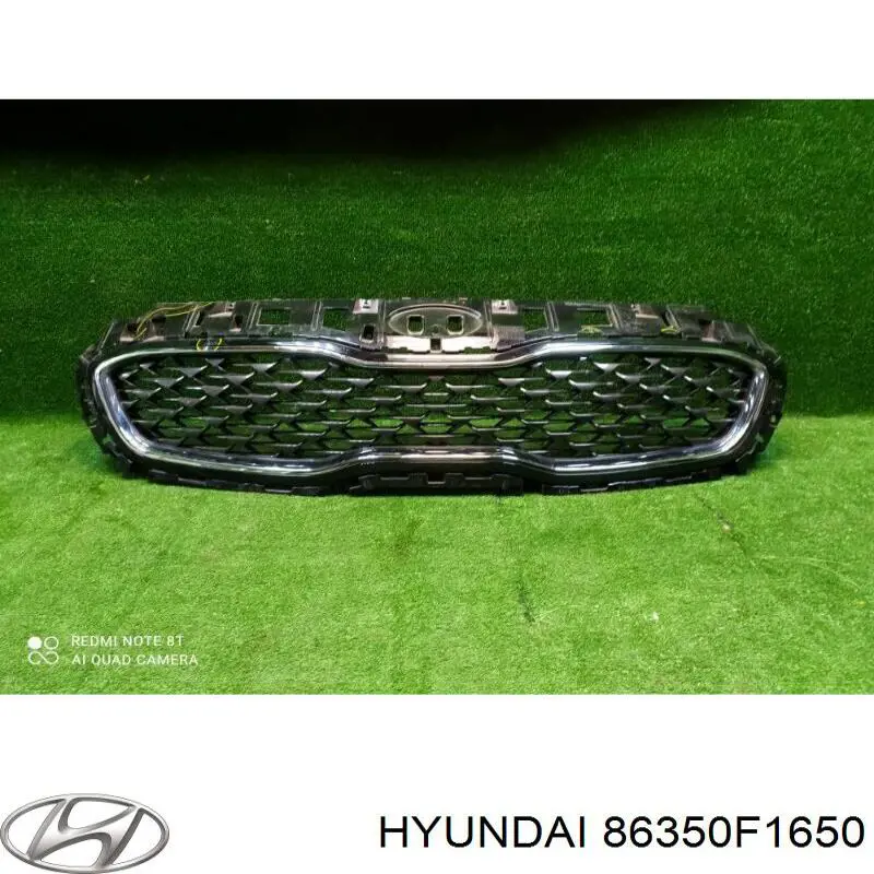 Облицювання радіатора Hyundai/Kia 86350F1650 ціна, від 25.33 USD