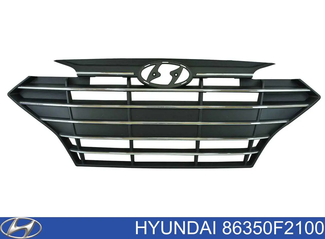 Купити 86350F2100 Hyundai/Kia Захисна решітка радіатора