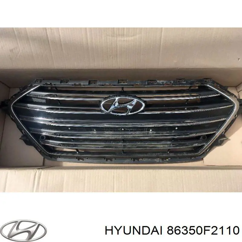 86350F2110 Hyundai/Kia Решітка радіатора