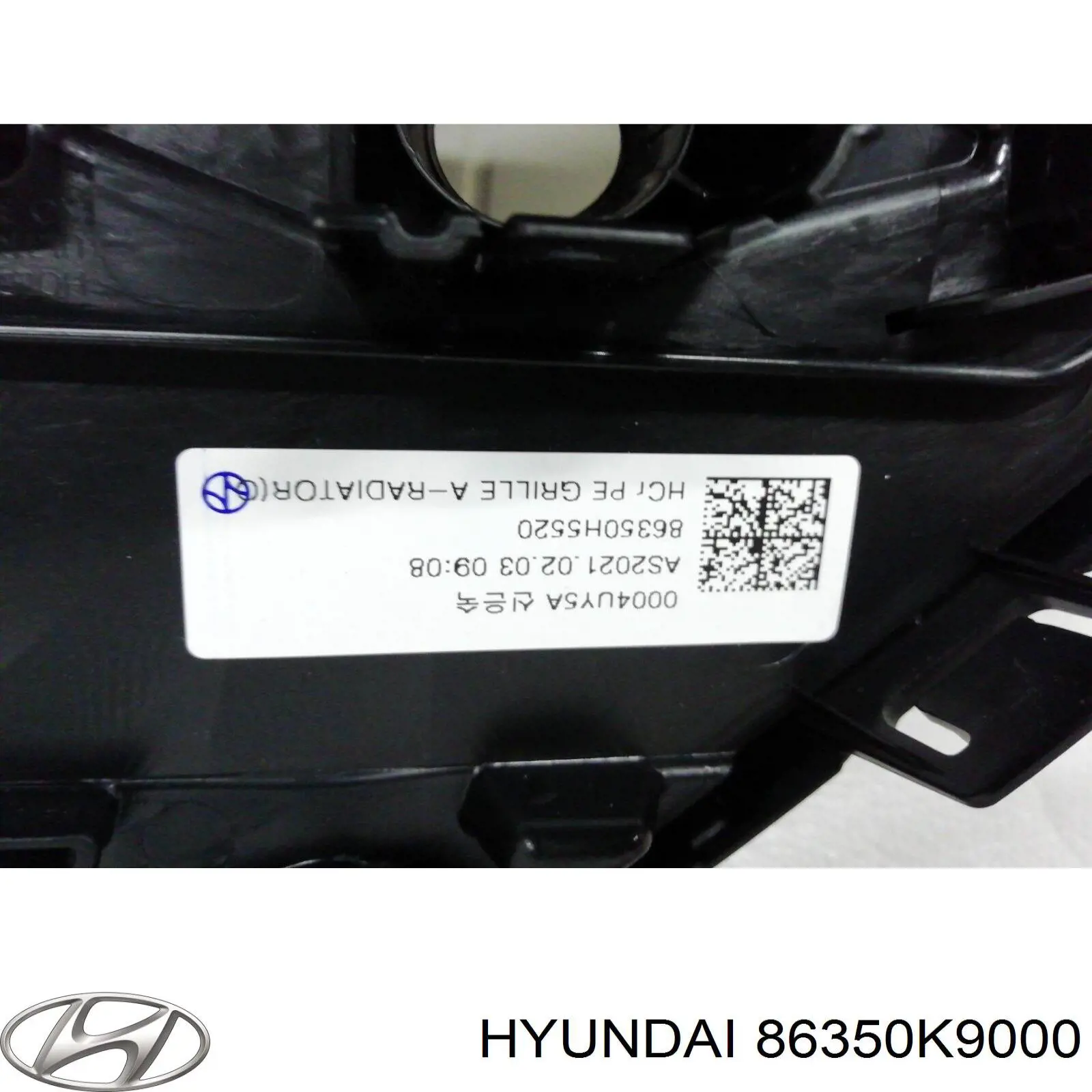 Купити 86350K9000 Hyundai/Kia Захисна решітка радіатора
