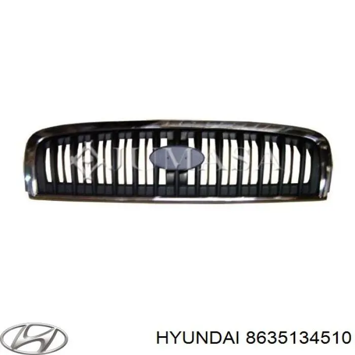 Купити 8635134510 Hyundai/Kia Захисна решітка радіатора