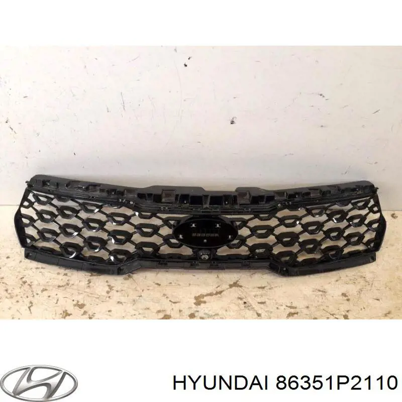 Купити 86351P2110 Hyundai/Kia Захисна решітка радіатора